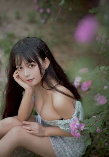 2017欧美伦理电影视频_超清免费电视剧