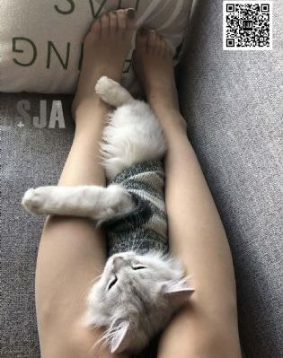 最新电影上映国产催泪_BD英语全集在线观看