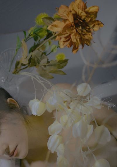 欧美女星录制节目打人_BD韩国电影在线观看